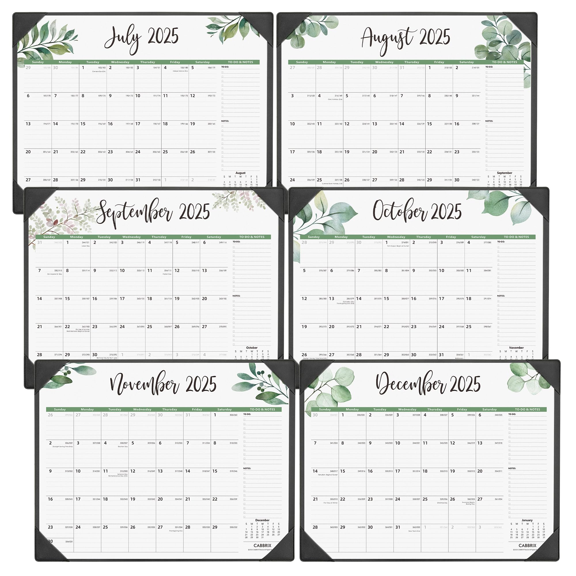 Cabbrix 2025-2026 Desk Calendar, Botanical Elements, Black