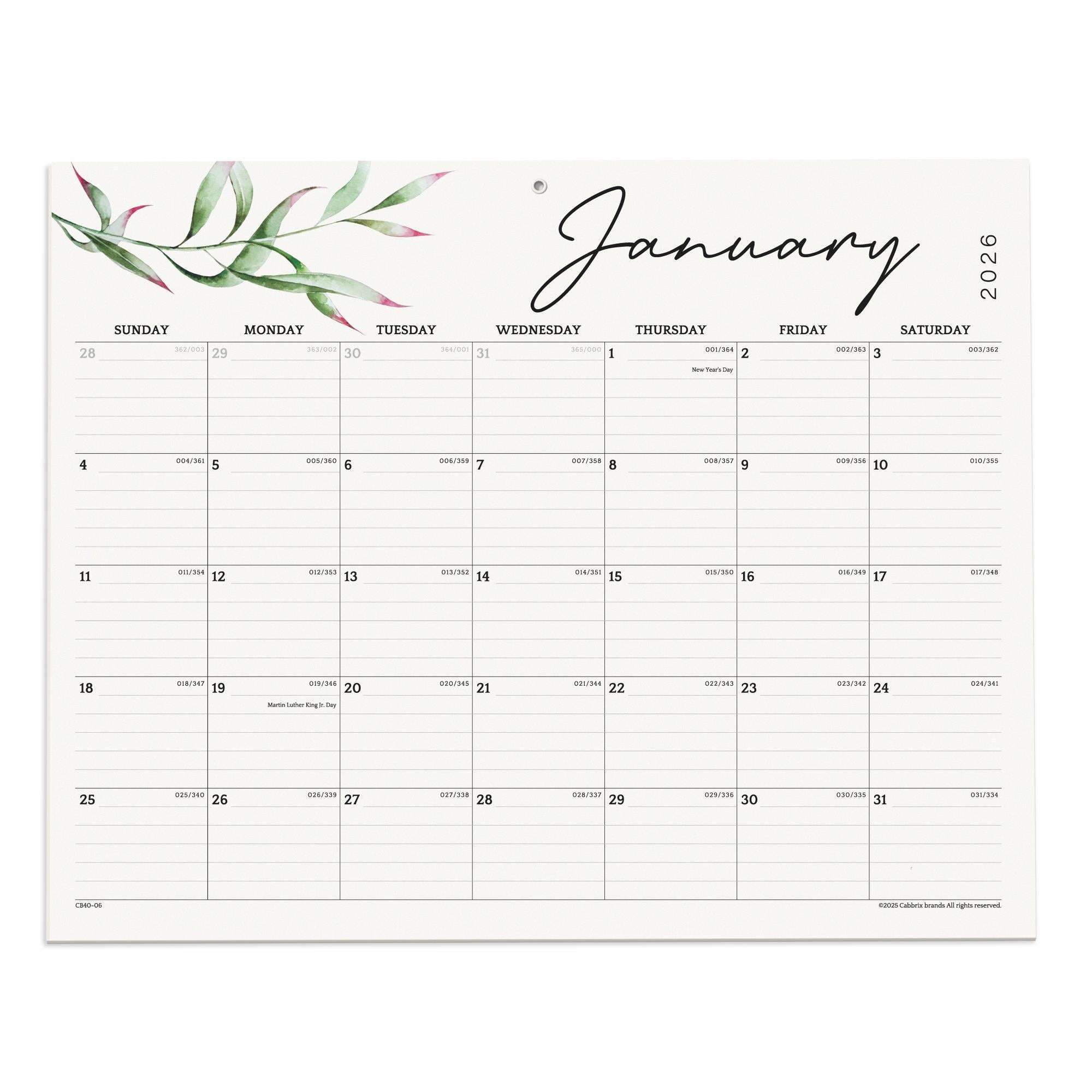 Calendar for January 2025 with decorative elements on a white background
