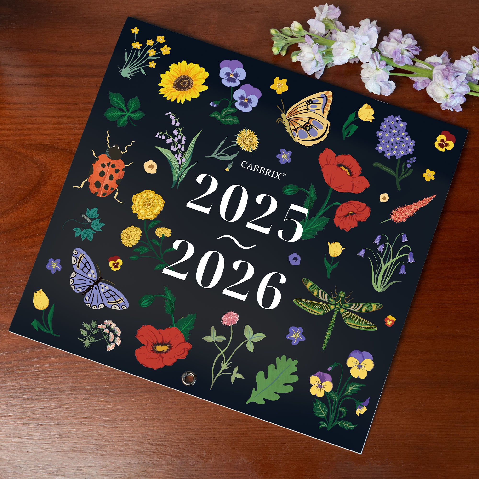 Cabbrix 2025-2026 Large Wall Calendar, Foldable, Morning Field