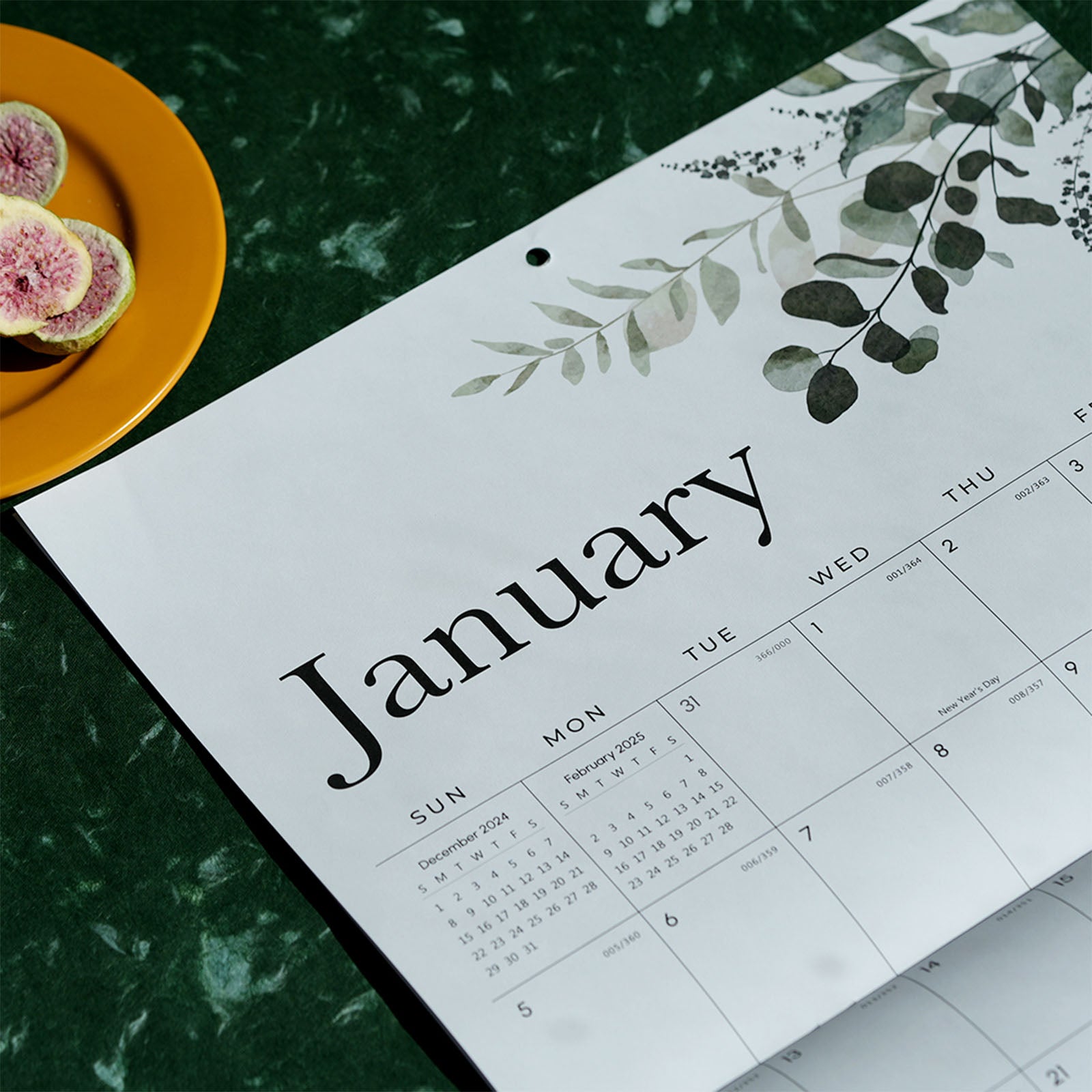 Cabbrix 2025-2026 Large Wall Calendar, Foldable, Watercolor Plant