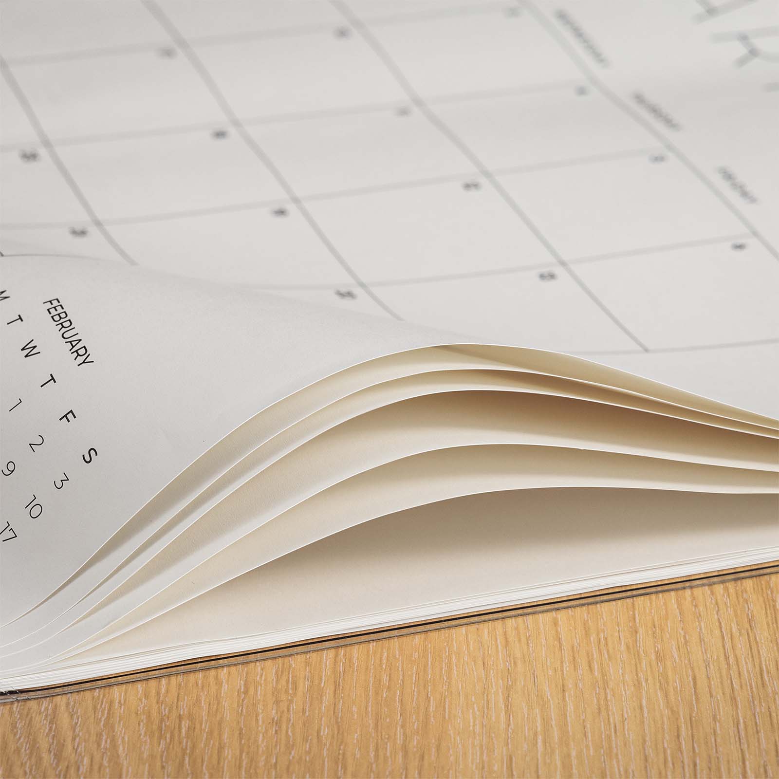 Cabbrix®, Jul 2024-Jun 2025 Desk Calendar, Large, 21"L×16.5"W, Botanical Elements, PVC Desk Mat Back Board