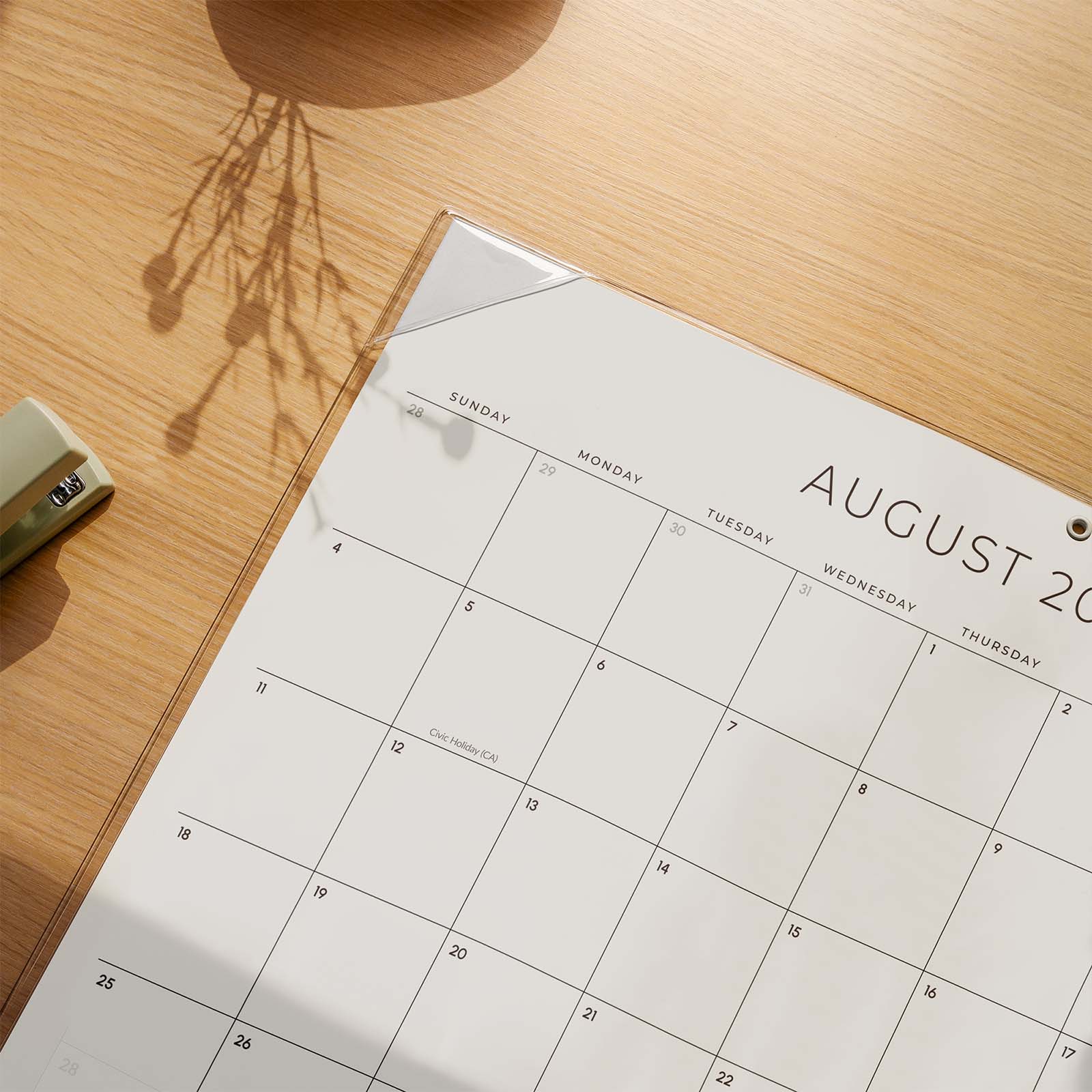 Cabbrix®, Jul 2024-Jun 2025 Desk Calendar, Large, 21"L×16.5"W, Botanical Elements, PVC Desk Mat Back Board