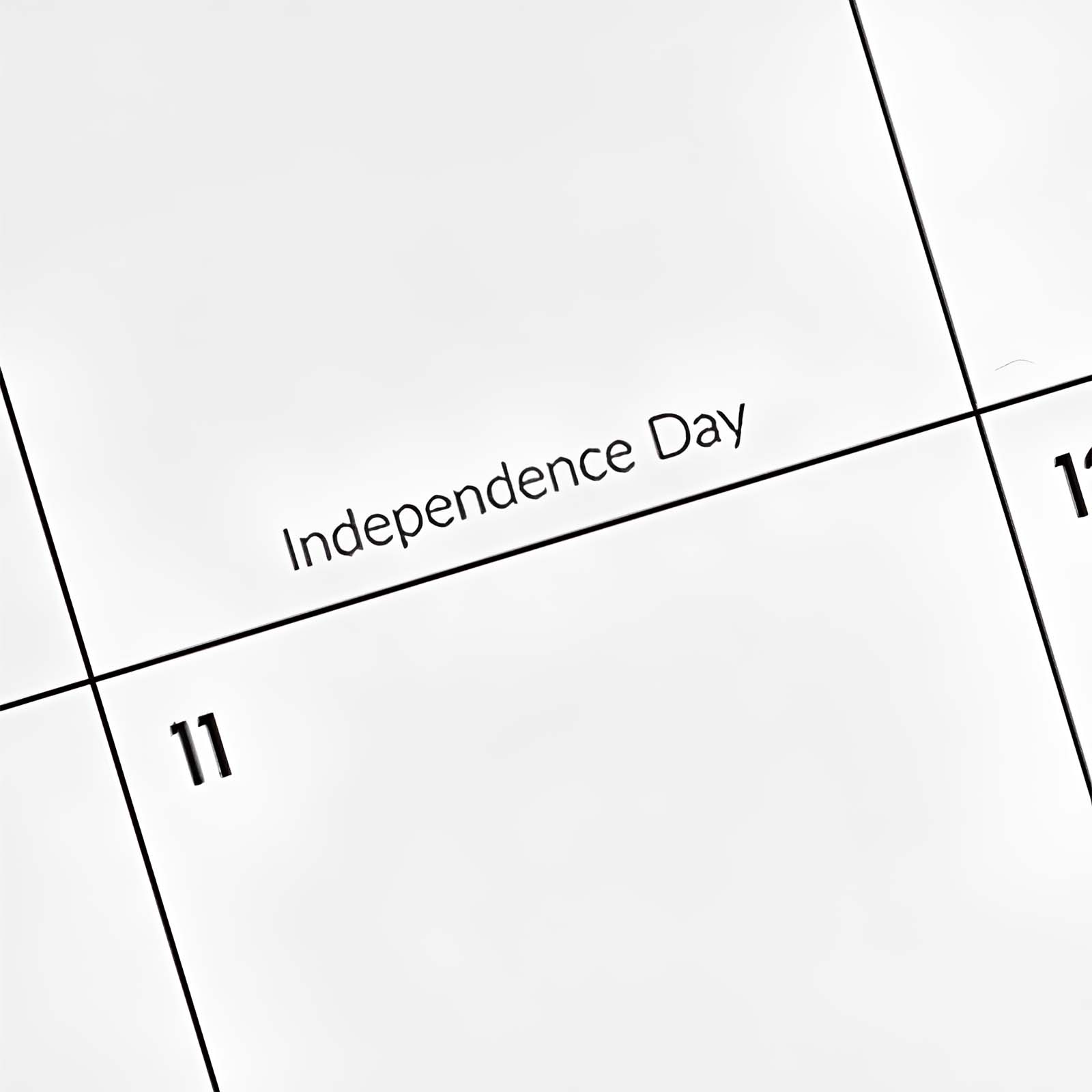 Cabbrix®, Jul 2024-Jun 2025 Desk Calendar, Large, 21"L×16.5"W, Botanical Elements, PVC Desk Mat Back Board