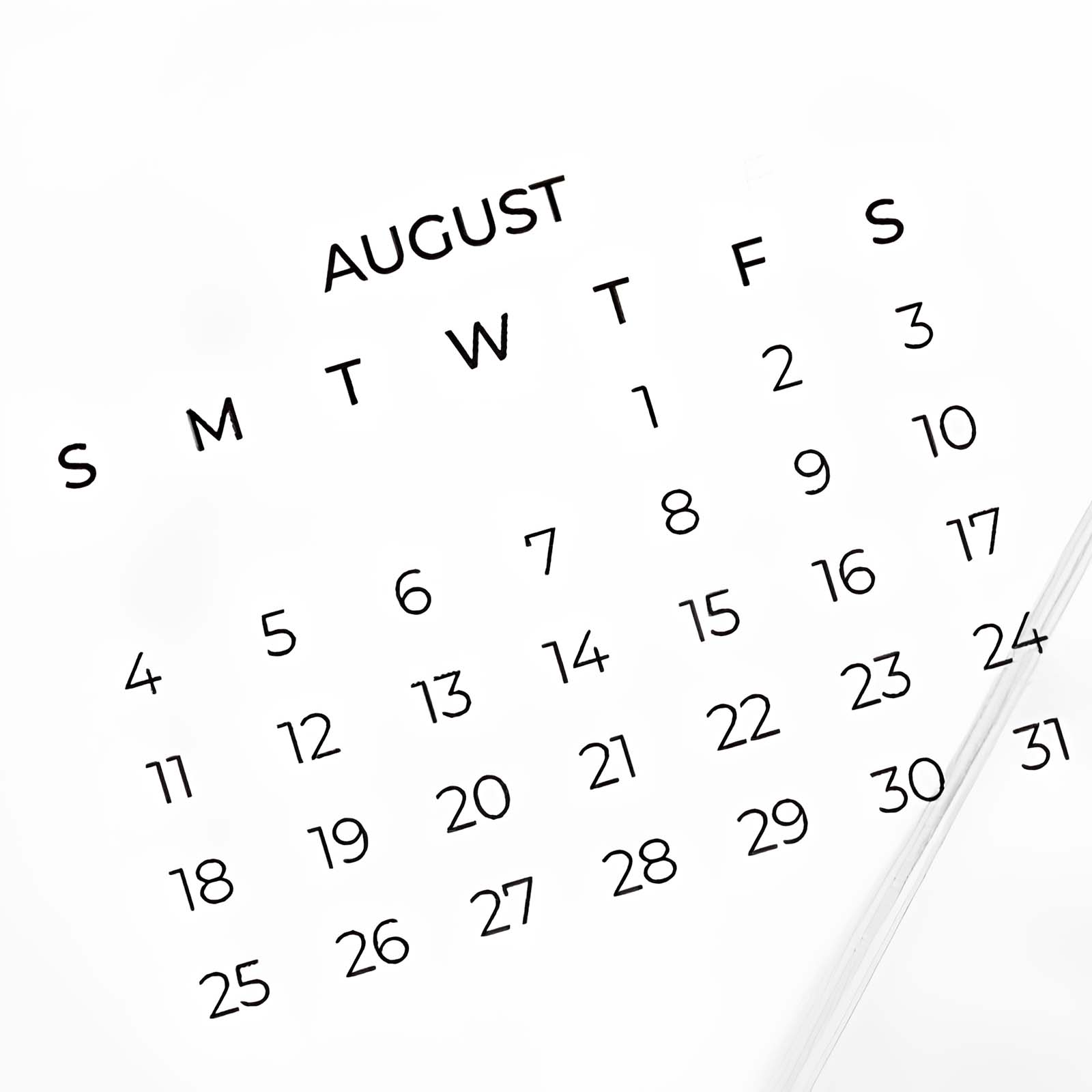 Cabbrix®, Jul 2024-Jun 2025 Desk Calendar, Large, 21"L×16.5"W, Botanical Elements, PVC Desk Mat Back Board