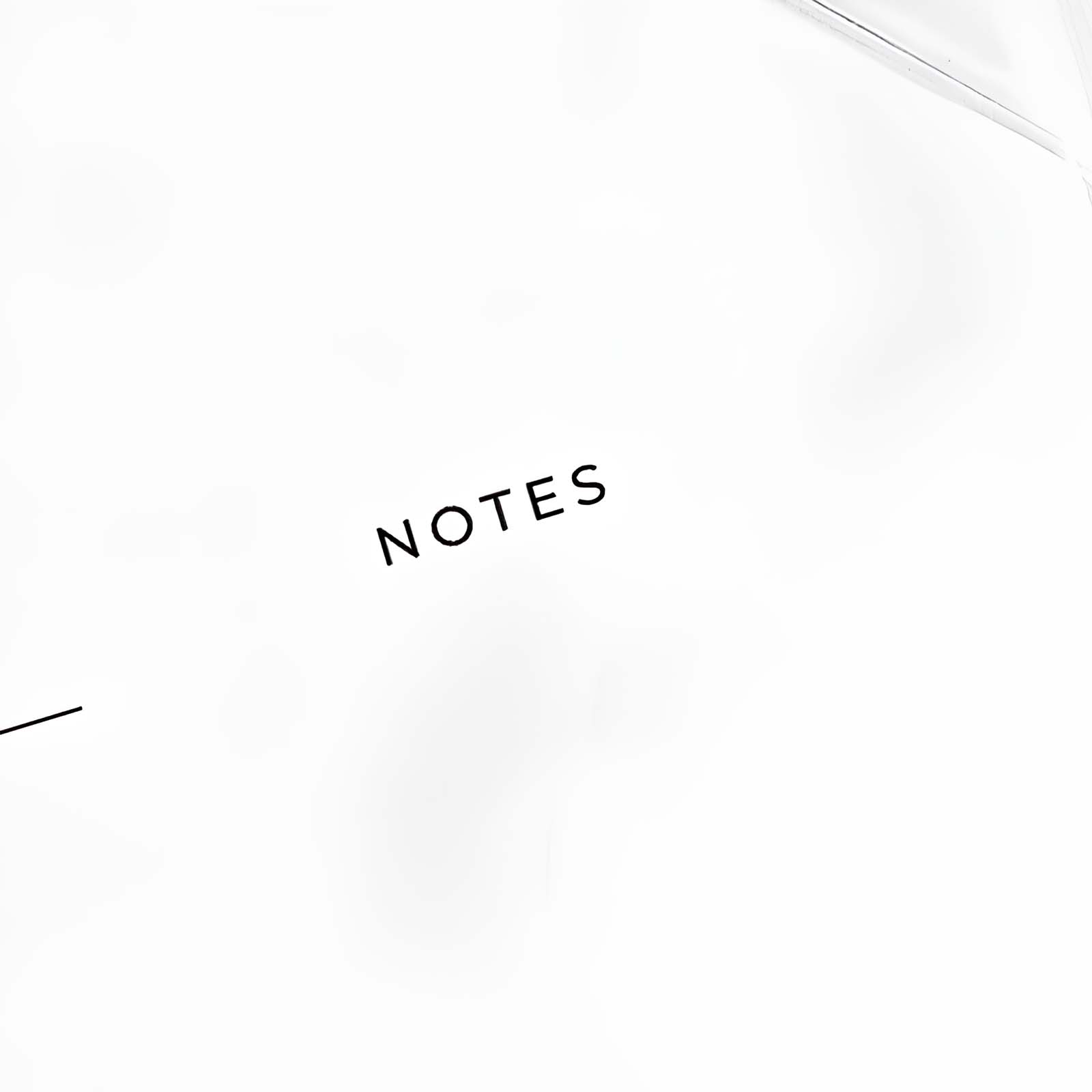 Cabbrix®, Jul 2024-Jun 2025 Desk Calendar, Large, 21"L×16.5"W, Botanical Elements, PVC Desk Mat Back Board