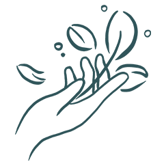 20240531-Cabbrix_icon