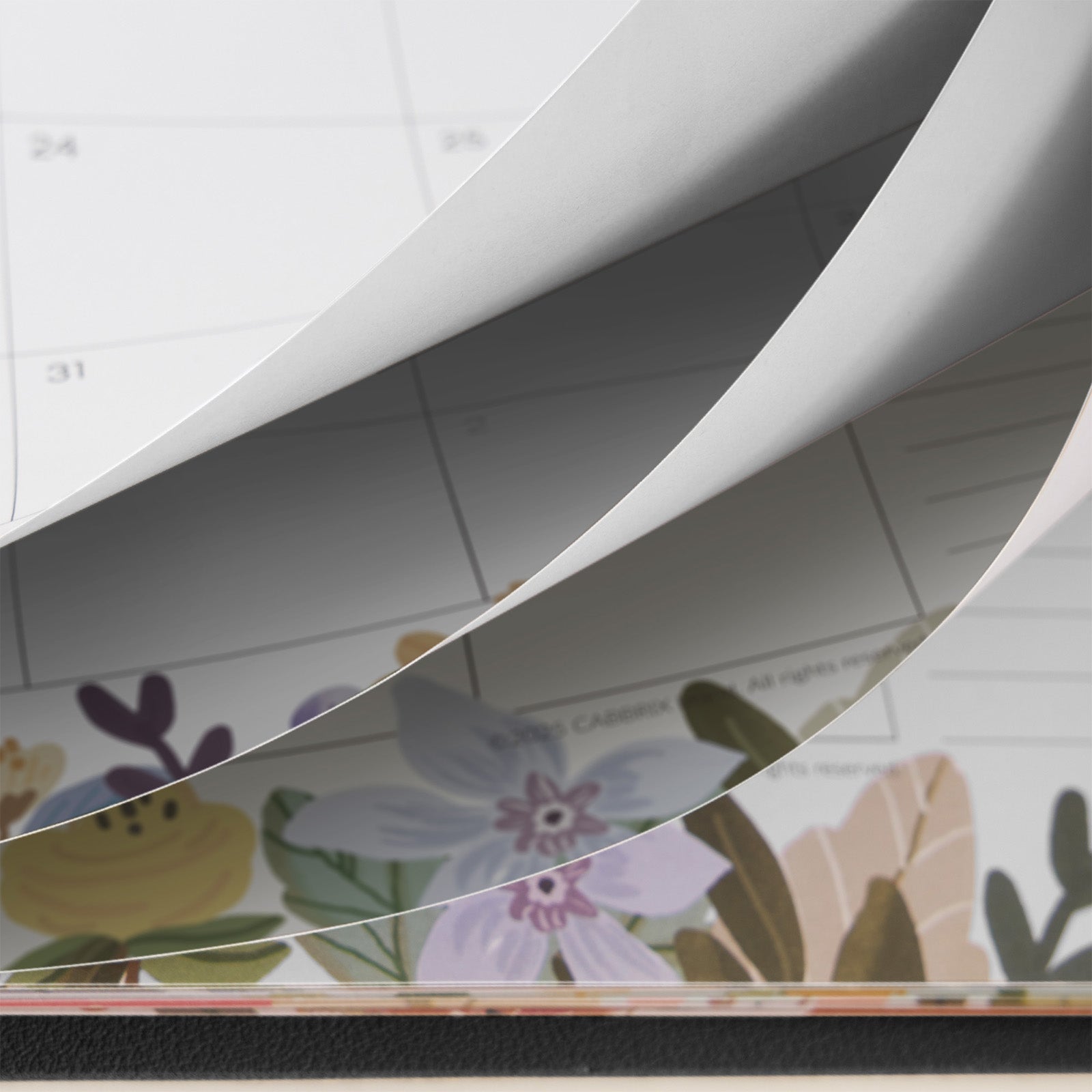Cabbrix 2025-2026 Desk Calendar, 15"L×12"W, Floral Design, Black