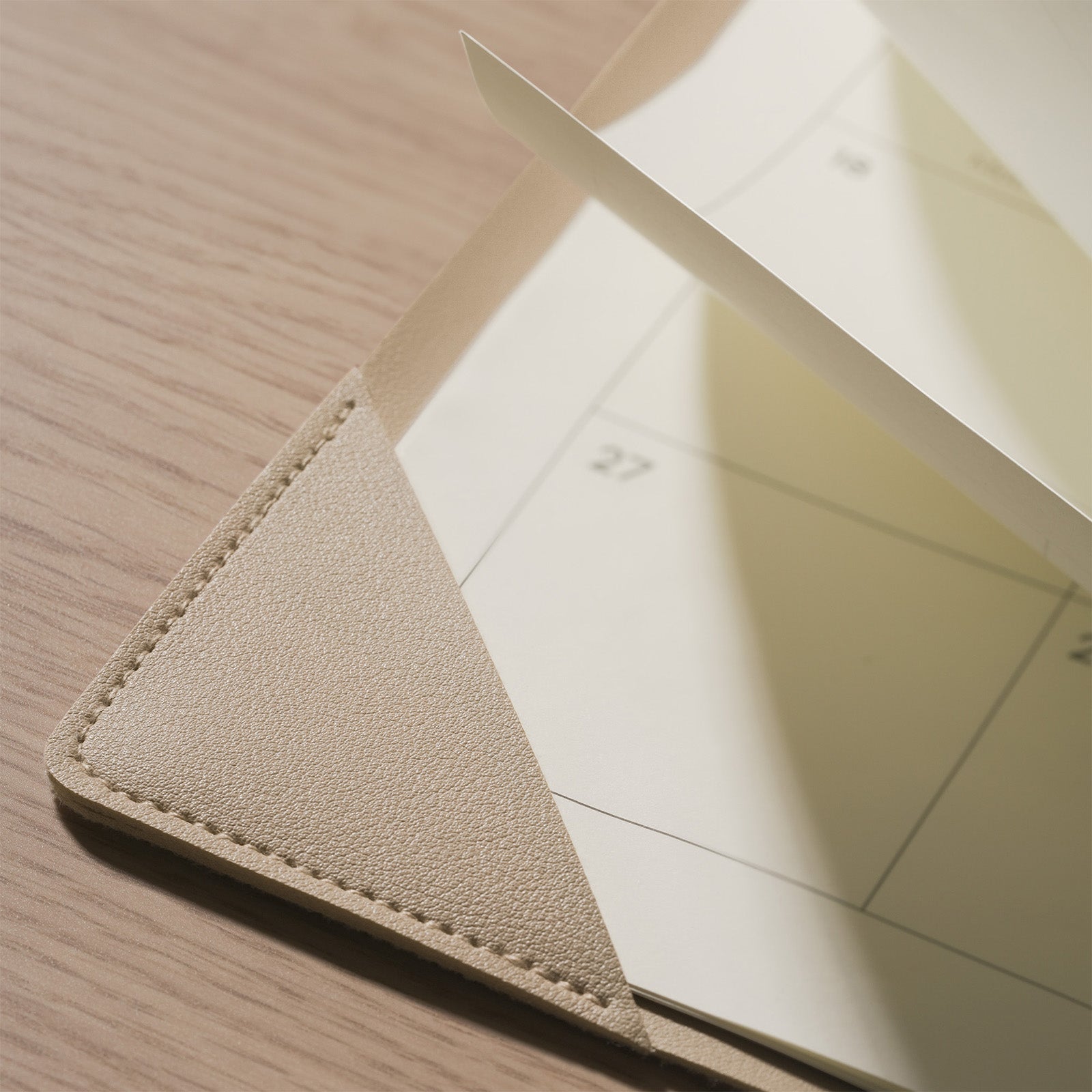 Cabbrix 2025-2026 Desk Calendar, Botanical Elements, Apricot