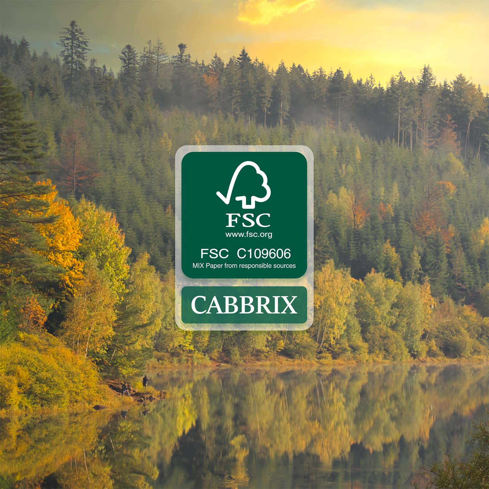 Cabbrix®, Jul 2024-Jun 2025 Desk Calendar, Large, 21"L×16.5"W, Botanical Elements, PVC Desk Mat Back Board