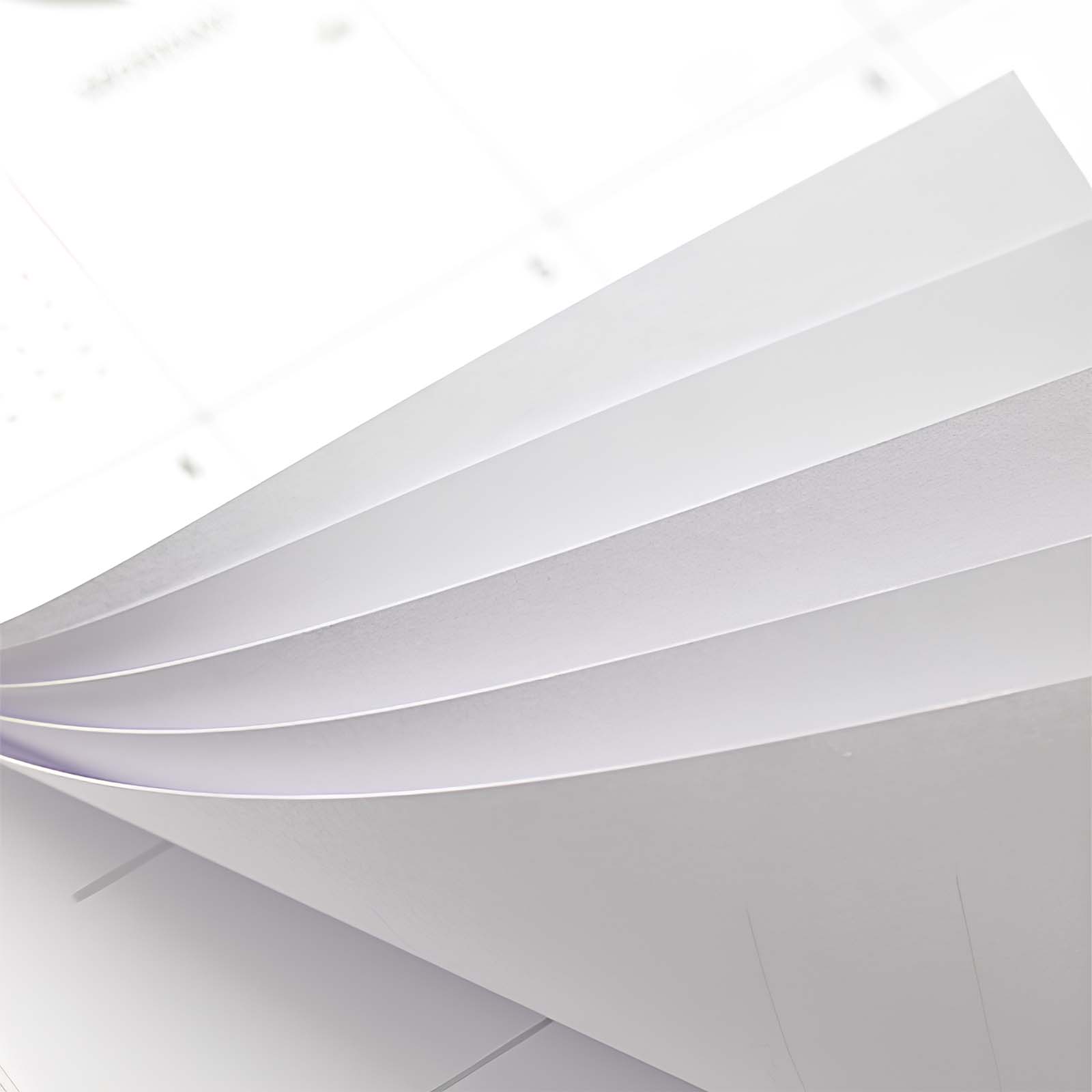 Cabbrix 2025-2026 Wall Calendar, Spiral Binding, Botanical Elements