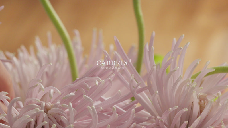 20251125 藤诗台历 品宣 横屏（带logo）